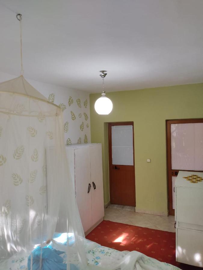 Private Apartment Elbasan Historic Center Экстерьер фото