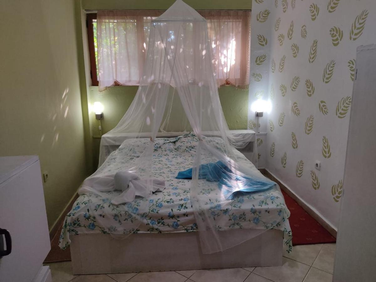 Private Apartment Elbasan Historic Center Экстерьер фото
